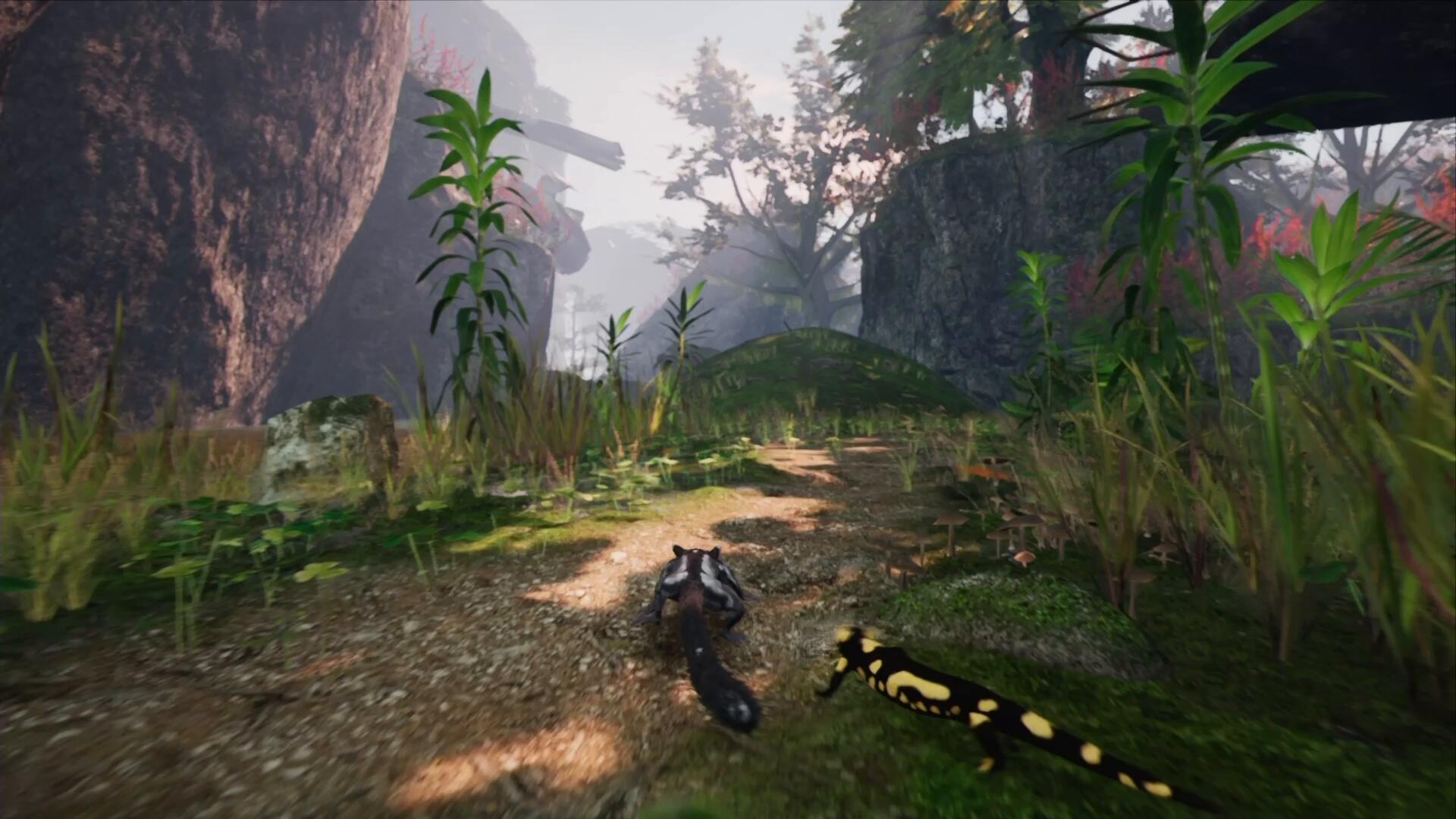 Away The Survival Series Away The Survival Series